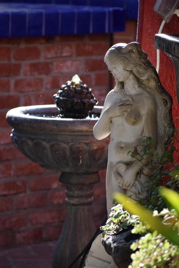 Bed & Breakfast Garden